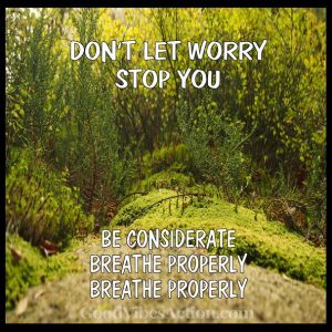 Don Not Let Worry Stop You Grass Field